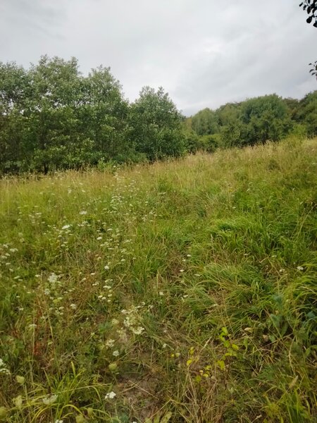 Comanca, Baile Olanesti (judetul Valcea) Teren