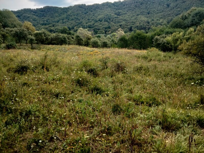 Comanca, Baile Olanesti (judetul Valcea) Teren