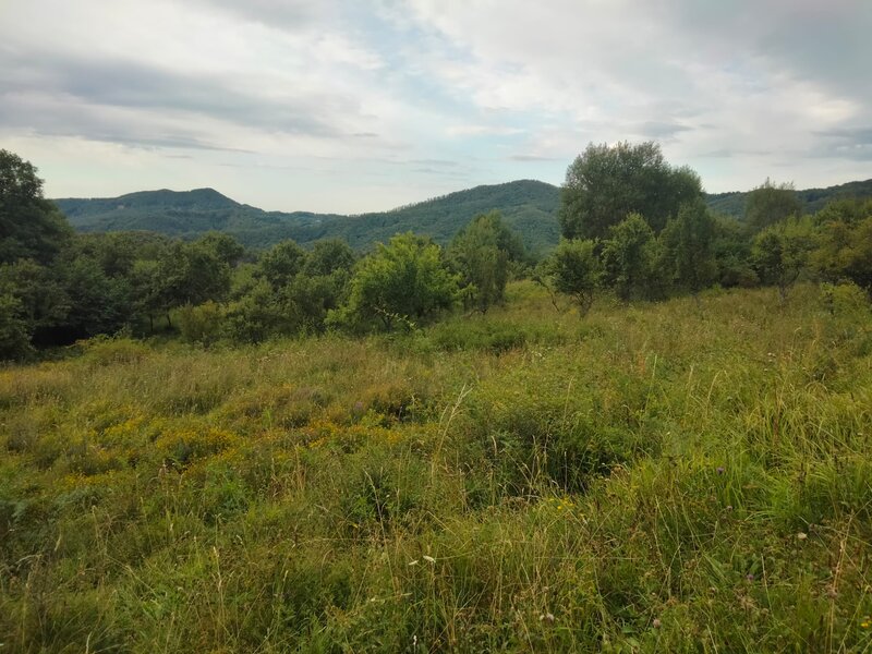 Comanca, Baile Olanesti (judetul Valcea) Teren